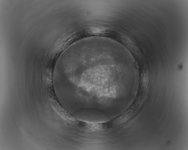 X0000114720421200912021159