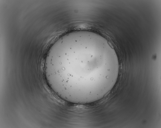 X0000114720423200912021159