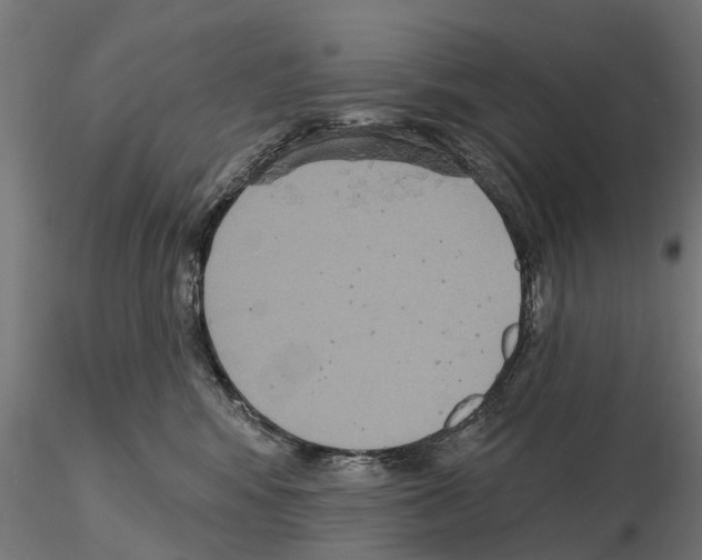 X0000114720424200912021159