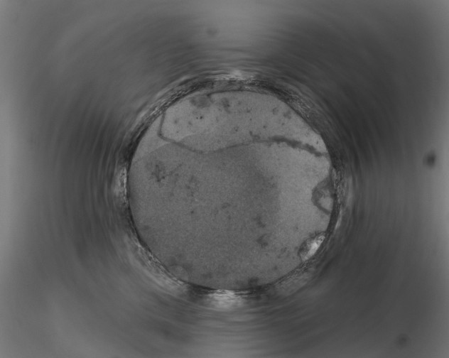 X0000114720425200912021159