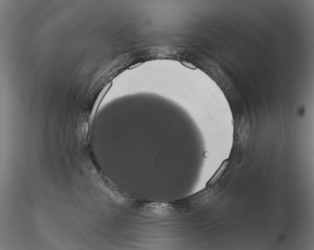 X0000114720427200912021159