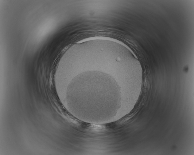 X0000114720429200912021159