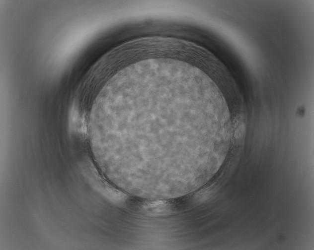 X0000114720431200912021159