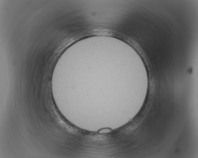 X0000114720433200912021158