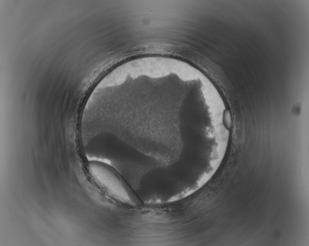 X0000114720434200912021158