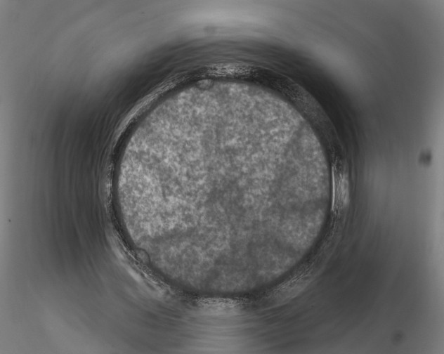 X0000114720435200912021158