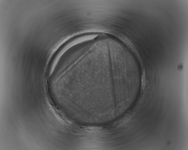 X0000114720436200912021158