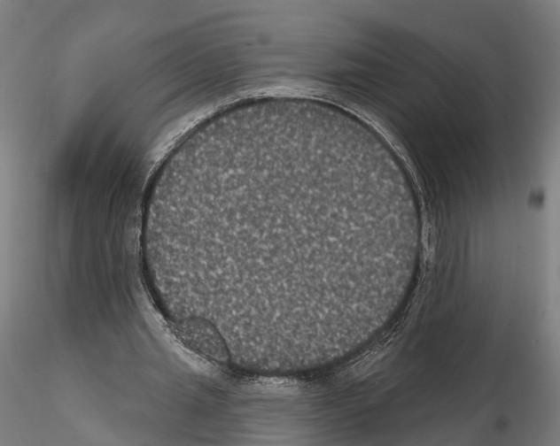 X0000114720437200912021158