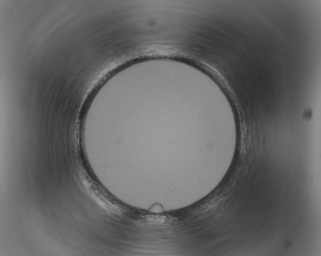 X0000114720439200912021158