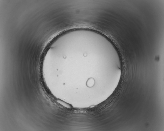 X0000114720440200912021158