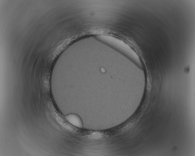 X0000114720441200912021158