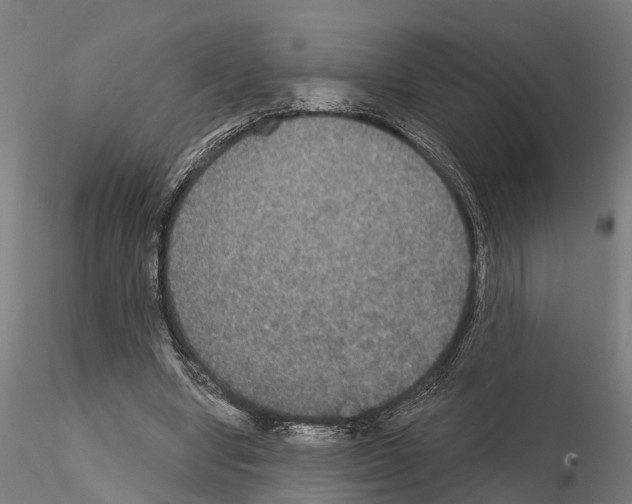 X0000114720442200912021158