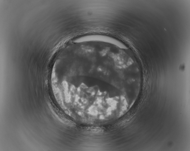 X0000114720443200912021158