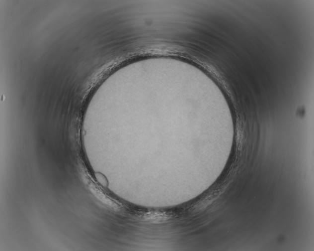 X0000114720445200912021158