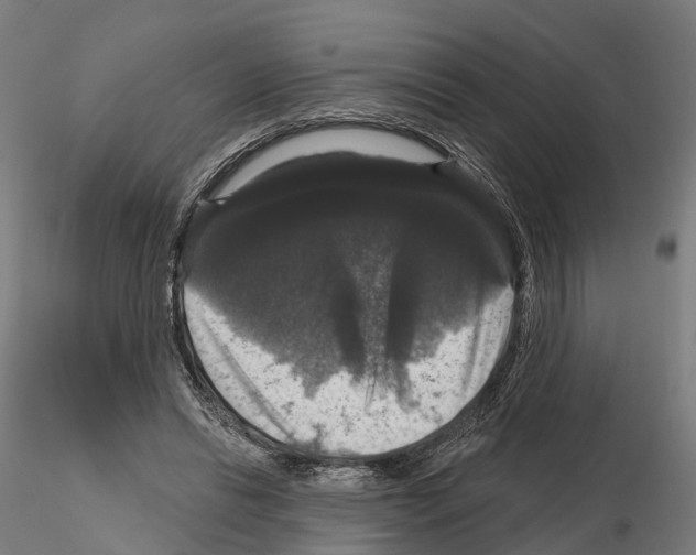 X0000114720446200912021158