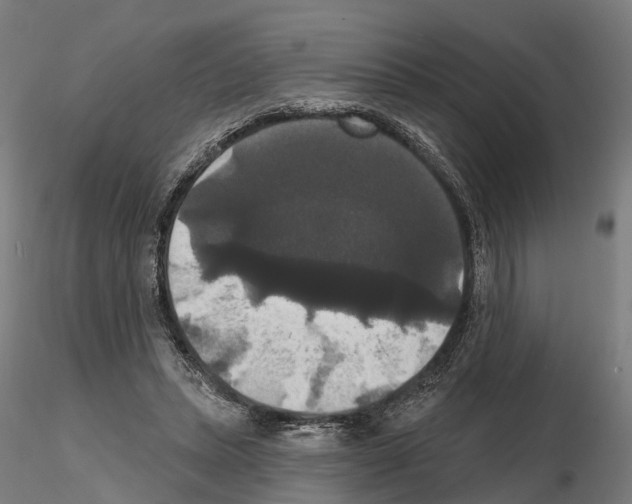 X0000114720447200912021158