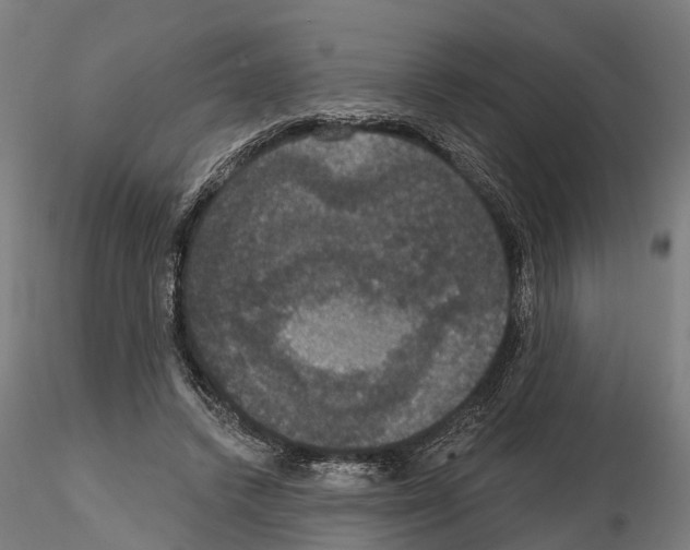 X0000114720448200912021158