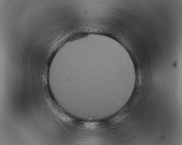 X0000114720450200912021158