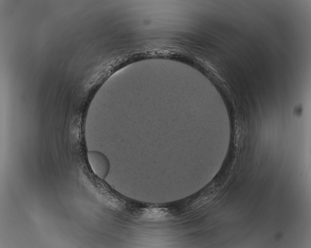 X0000114720451200912021158