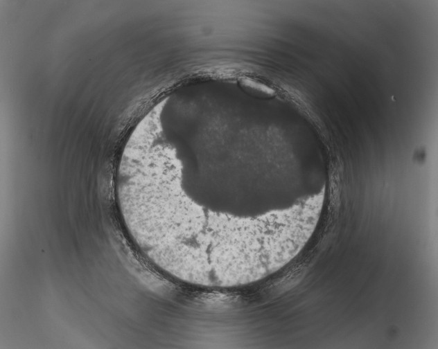 X0000114720453200912021158