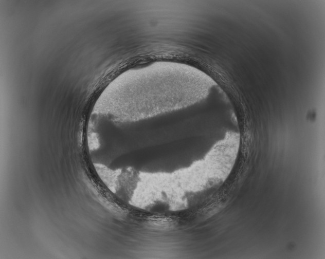 X0000114720454200912021158