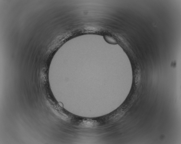 X0000114720455200912021158