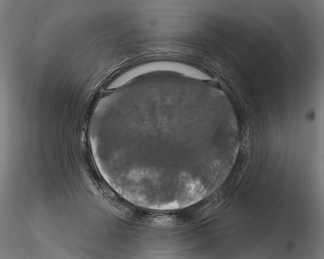 X0000114720456200912021158