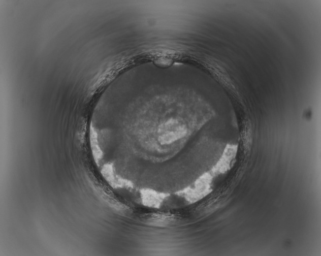 X0000114720458200912021158