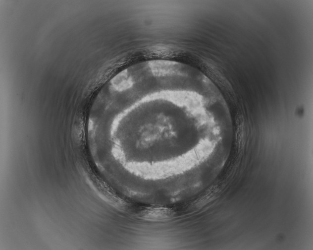 X0000114720459200912021158