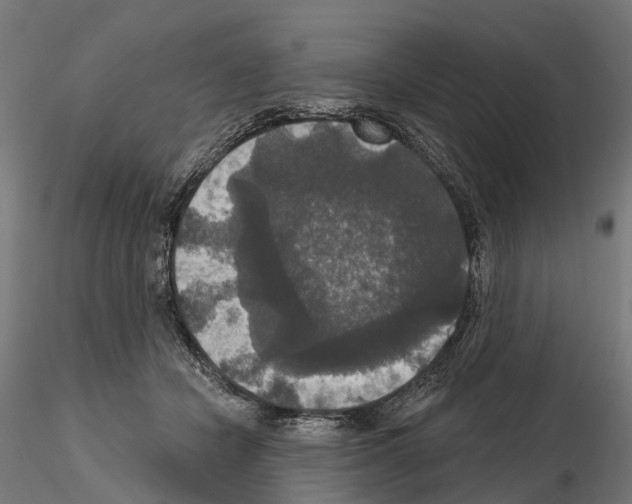 X0000114720462200912021158