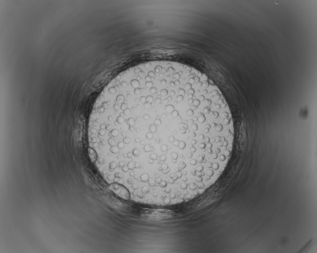 X0000114720463200912021158