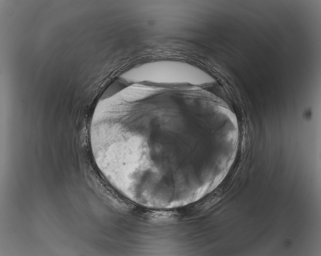 X0000114720465200912021159