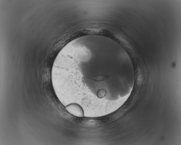 X0000114720467200912021159