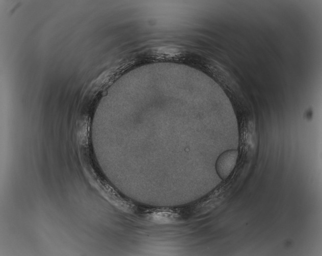 X0000114720468200912021159