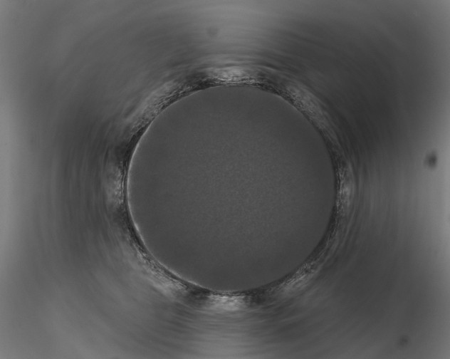 X0000114720469200912021159