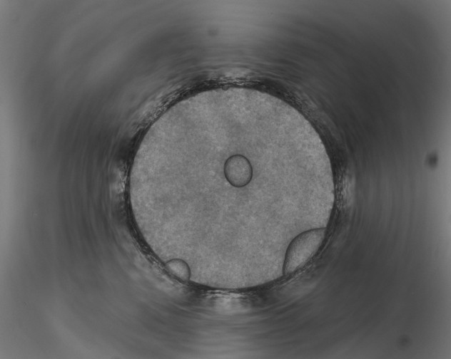 X0000114720472200912021159