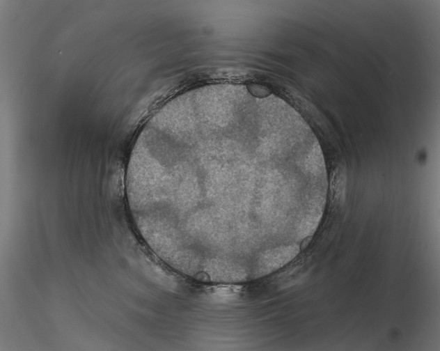 X0000114720474200912021159