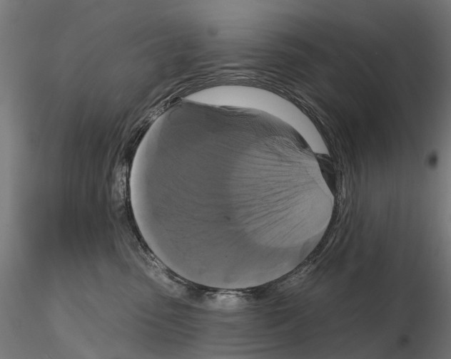 X0000114720475200912021159