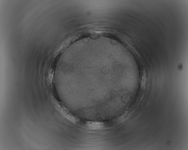 X0000114720476200912021159