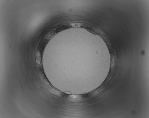 X0000114720477200912021159