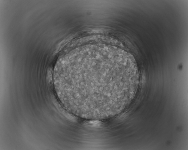 X0000114720478200912021159