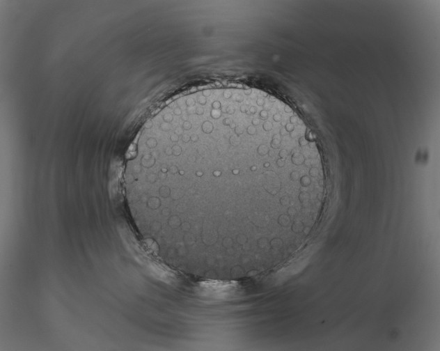 X0000114720480200912021159