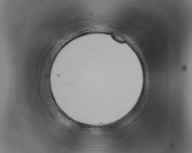 X0000114720481200912021158