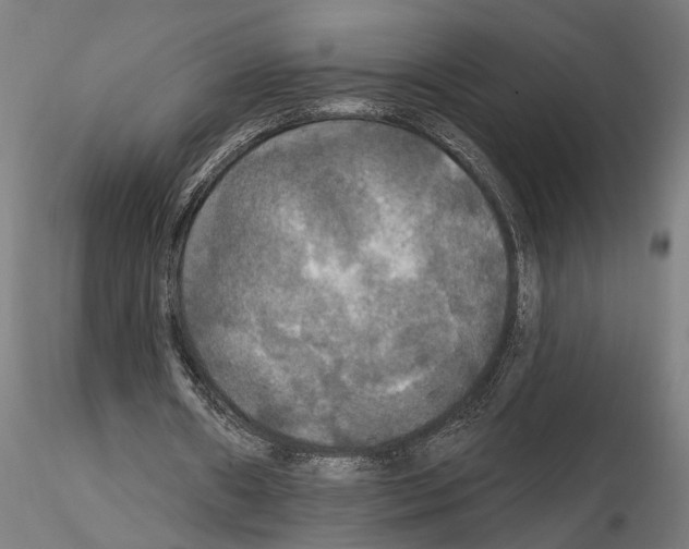 X0000114720482200912021158