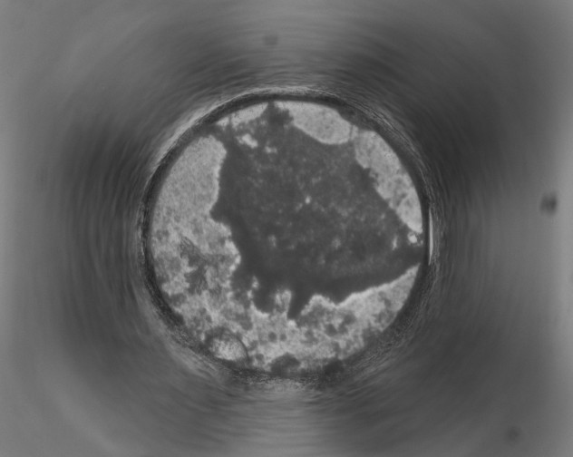 X0000114720483200912021158