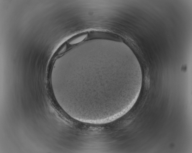 X0000114720484200912021158