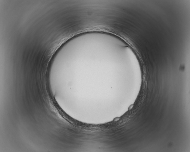 X0000114720485200912021158