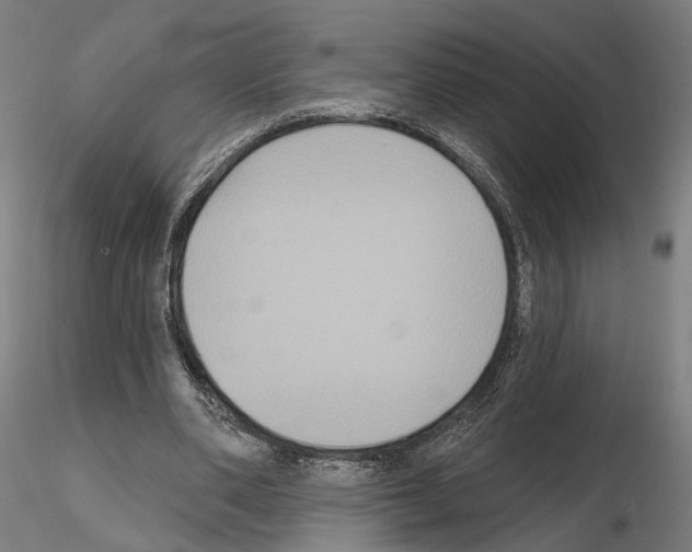 X0000114720486200912021158