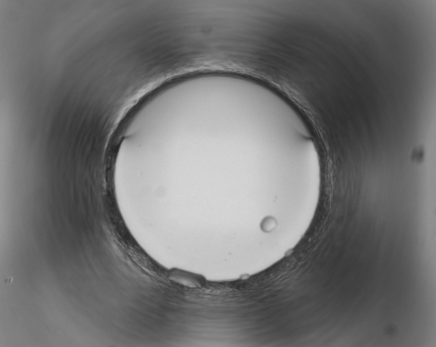 X0000114720488200912021158