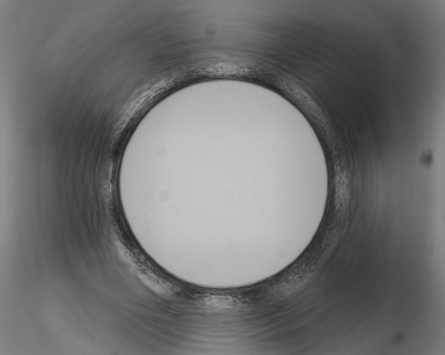 X0000114720490200912021158